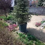 بيت شباب Havranuv Dum *